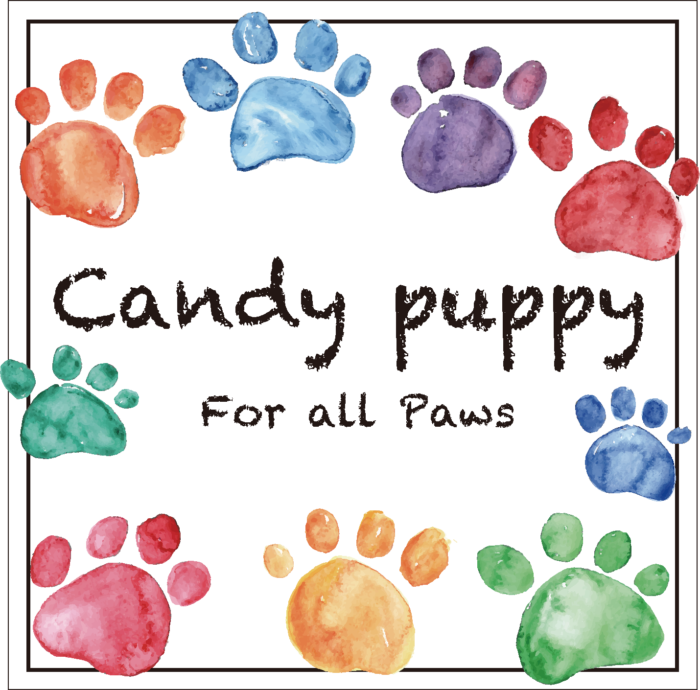 Candy puppy